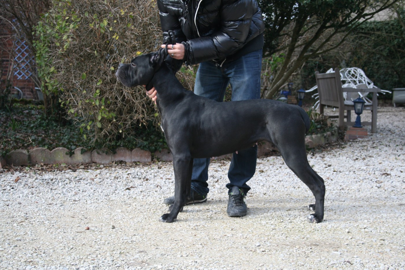 Jiulia du temple de jade